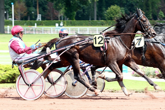 image Mons : Ready Cash et Rapide Lebel en piste